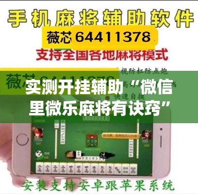 实测开挂辅助“微信里微乐麻将有诀窍”(透视挂)辅助透视教程