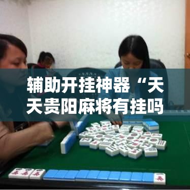 辅助开挂神器“天天贵阳麻将有挂吗”科技辅助神器手机版教程