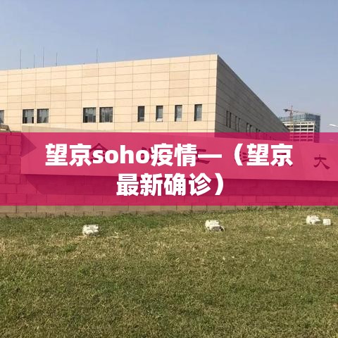 望京soho疫情—（望京最新确诊）