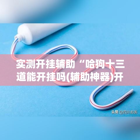 实测开挂辅助“哈狗十三道能开挂吗(辅助神器)开挂详细教程