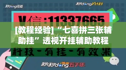 [教程经验]“七喜拼三张辅助挂”透视开挂辅助教程