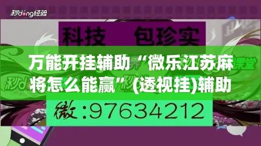 万能开挂辅助“微乐江苏麻将怎么能赢”(透视挂)辅助透视教程