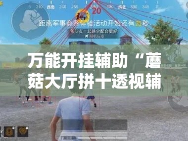 万能开挂辅助“蘑菇大厅拼十透视辅助软件”透视开挂辅助教程