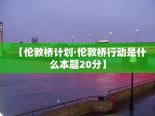 【伦敦桥计划·伦敦桥行动是什么本题20分】