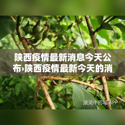 陕西疫情最新消息今天公布›陕西疫情最新今天的消息 陕西疫情最新消息今天公布›陕西疫情最新今天的消息