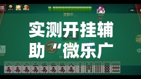 实测开挂辅助“微乐广西麻将万能开挂器通用版”透视开挂辅助教程