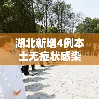 湖北新增4例本土无症状感染者：湖北新增无症状感染者9例,现有确诊病例6例