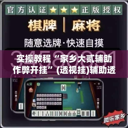实操教程“家乡大贰辅助作弊开挂”(透视挂)辅助透视教程
