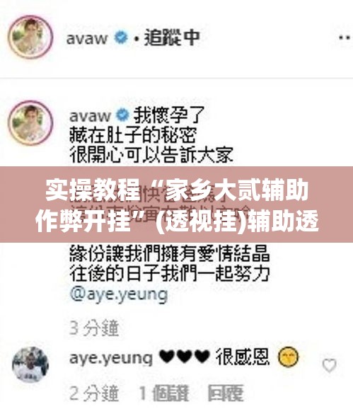 实操教程“家乡大贰辅助作弊开挂	”(透视挂)辅助透视教程