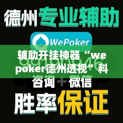 辅助开挂神器“wepoker德州透视”科技辅助神器手机版教程