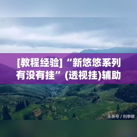 [教程经验]“新悠悠系列有没有挂”(透视挂)辅助透视教程