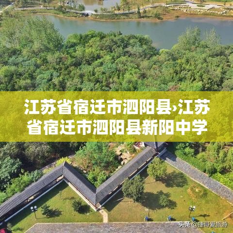 江苏省宿迁市泗阳县›江苏省宿迁市泗阳县新阳中学