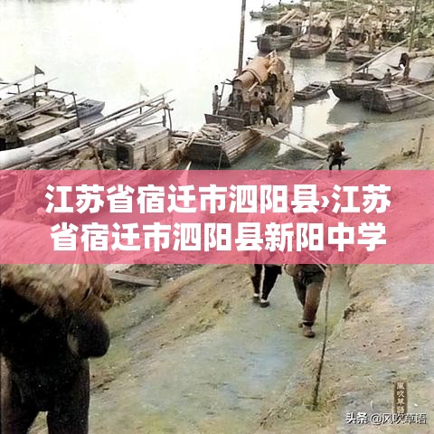 江苏省宿迁市泗阳县›江苏省宿迁市泗阳县新阳中学
