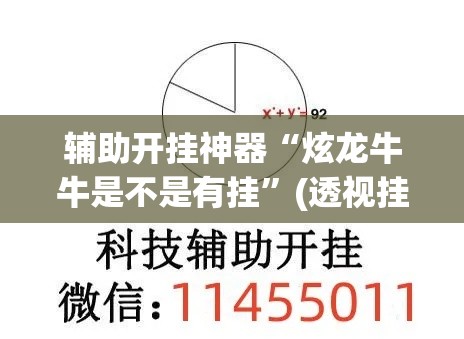 辅助开挂神器“炫龙牛牛是不是有挂”(透视挂)辅助透视教程