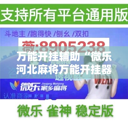 万能开挂辅助“微乐河北麻将万能开挂器免费通用版”透视开挂辅助教程
