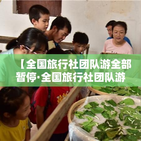 【全国旅行社团队游全部暂停·全国旅行社团队游暂停多久】
