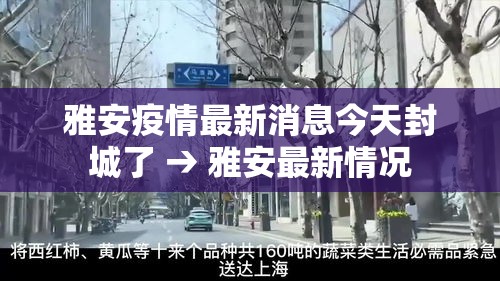 雅安疫情最新消息今天封城了 → 雅安最新情况