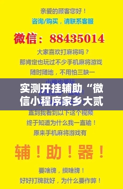 实测开挂辅助“微信小程序家乡大贰辅助器”科技辅助神器手机版教程