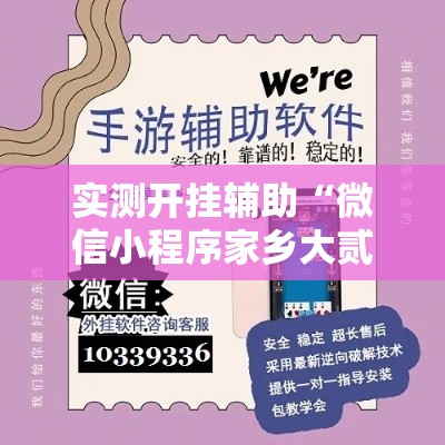 实测开挂辅助“微信小程序家乡大贰辅助器”科技辅助神器手机版教程