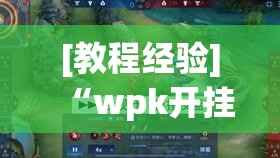 [教程经验]“wpk开挂辅助器”透视开挂辅助教程