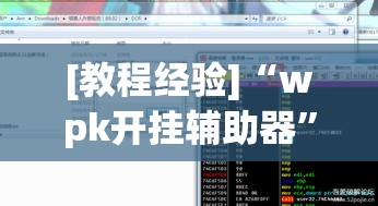 [教程经验]“wpk开挂辅助器	”透视开挂辅助教程