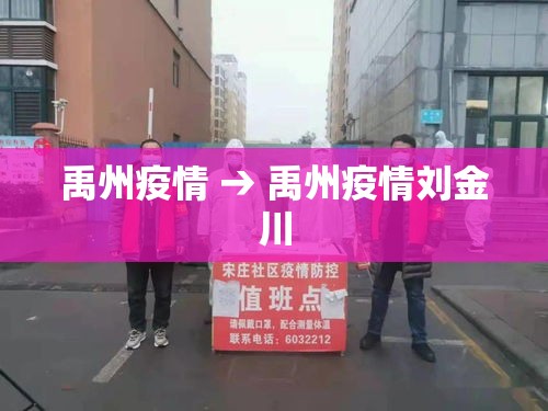 禹州疫情 → 禹州疫情刘金川
