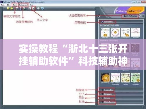 实操教程“浙北十三张开挂辅助软件	”科技辅助神器手机版教程
