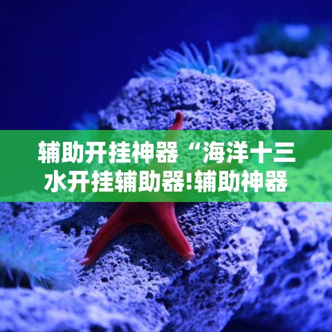 辅助开挂神器“海洋十三水开挂辅助器!辅助神器插件下载