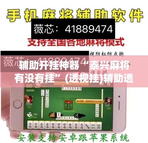 辅助开挂神器“泰兴麻将有没有挂”(透视挂)辅助透视教程