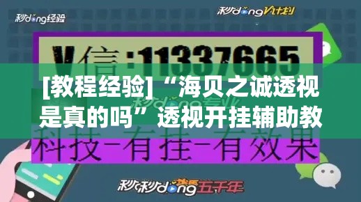 [教程经验]“海贝之诚透视是真的吗”透视开挂辅助教程