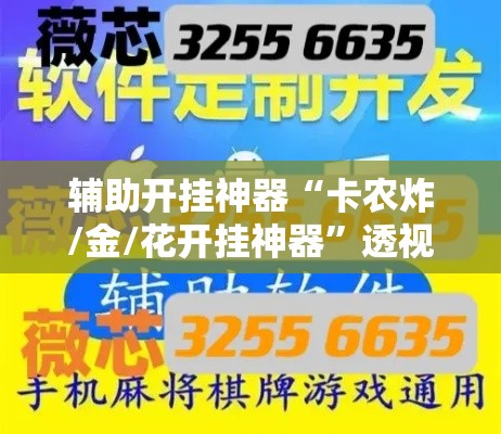 辅助开挂神器“卡农炸/金/花开挂神器”透视开挂辅助教程