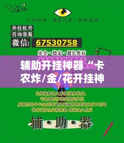 辅助开挂神器“卡农炸/金/花开挂神器”透视开挂辅助教程