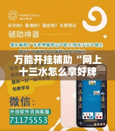 万能开挂辅助“网上十三水怎么拿好牌”科技辅助神器手机版教程