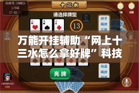 万能开挂辅助“网上十三水怎么拿好牌	”科技辅助神器手机版教程