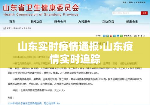 山东实时疫情通报›山东疫情实时追踪