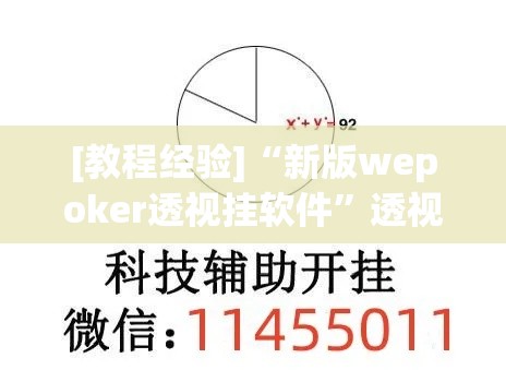 [教程经验]“新版wepoker透视挂软件”透视开挂辅助教程