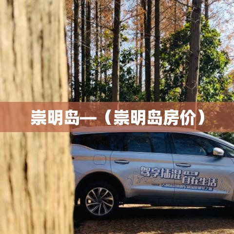 崇明岛—(崇明岛房价) 崇明岛—(崇明岛房价)