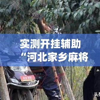 实测开挂辅助“河北家乡麻将亲友圈怎么开挂	”(透视挂)辅助透视教程