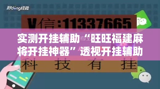 实测开挂辅助“旺旺福建麻将开挂神器”透视开挂辅助教程