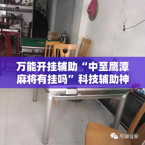 万能开挂辅助“中至鹰潭麻将有挂吗”科技辅助神器手机版教程