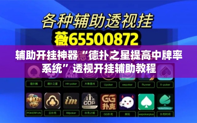 辅助开挂神器“德扑之星提高中牌率系统”透视开挂辅助教程