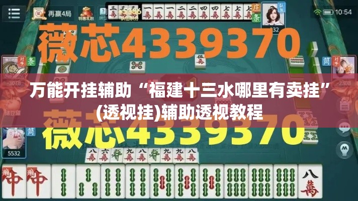 万能开挂辅助“福建十三水哪里有卖挂	”(透视挂)辅助透视教程
