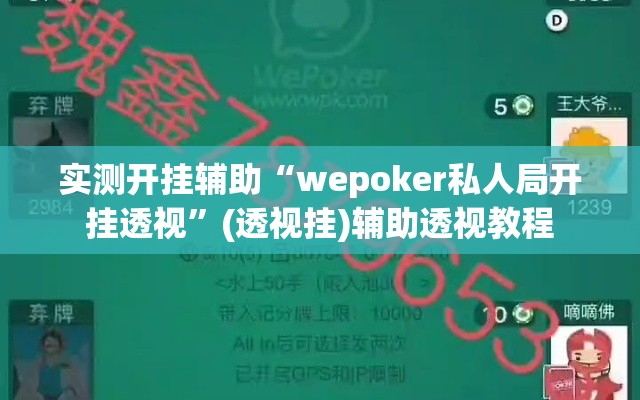 实测开挂辅助“wepoker私人局开挂透视”(透视挂)辅助透视教程