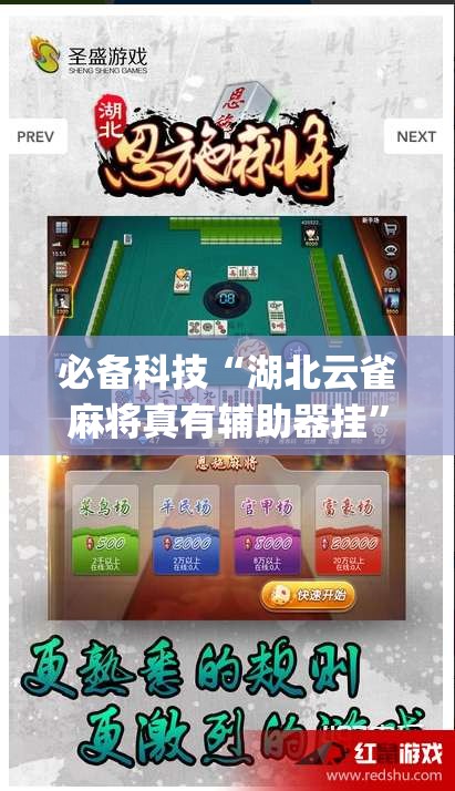 必备科技“湖北云雀麻将真有辅助器挂”(透视挂)辅助透视教程