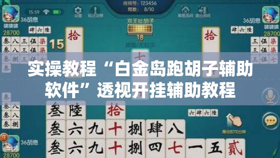 实操教程“白金岛跑胡子辅助软件	”透视开挂辅助教程