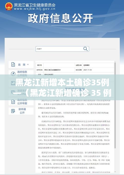 黑龙江新增本土确诊35例—(黑龙江新增确诊 35 例) 黑龙江新增本土确诊35例—(黑龙江新增确诊 35 例)