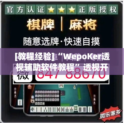 [教程经验]“WepoKer透视辅助软件教程”透视开挂辅助教程