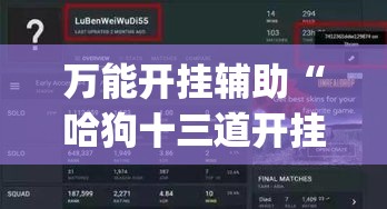 万能开挂辅助“哈狗十三道开挂辅助软件”(透视挂)辅助透视教程