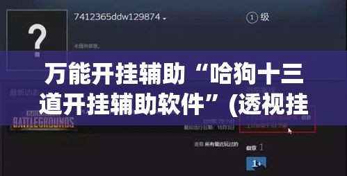 万能开挂辅助“哈狗十三道开挂辅助软件”(透视挂)辅助透视教程