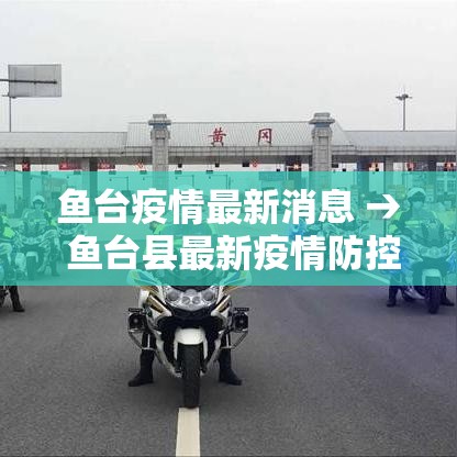 鱼台疫情最新消息 → 鱼台县最新疫情防控